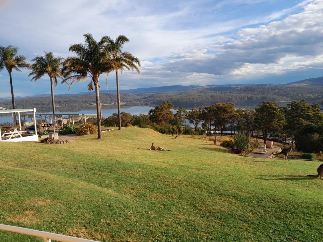 Norfolk Pines Motel Merimbula Εξωτερικό φωτογραφία