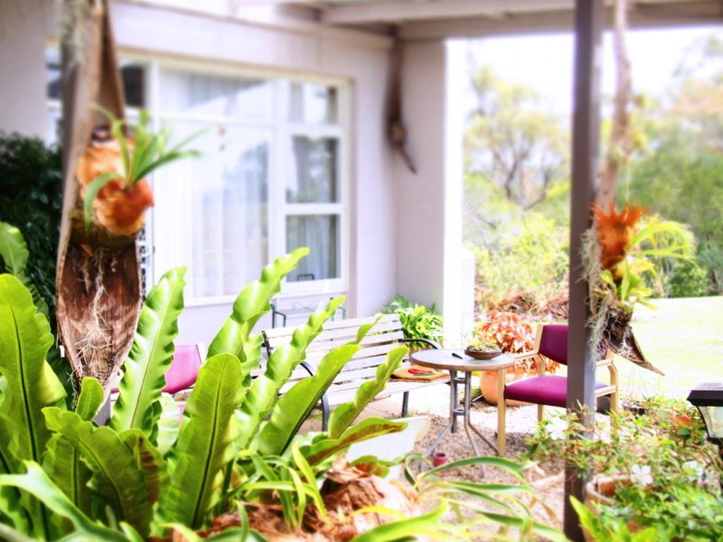 Norfolk Pines Motel Merimbula Εξωτερικό φωτογραφία